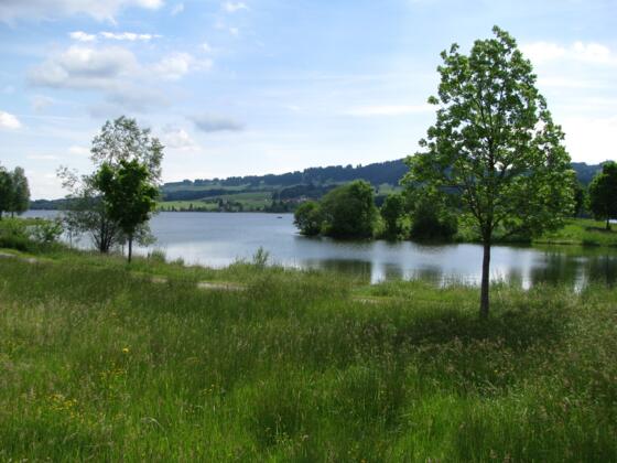 Der Rottachsee