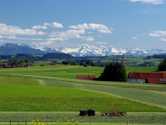 Bergblick bei Reicholzried