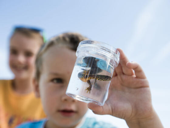 Walderlebnispfad am Ostertalbach 