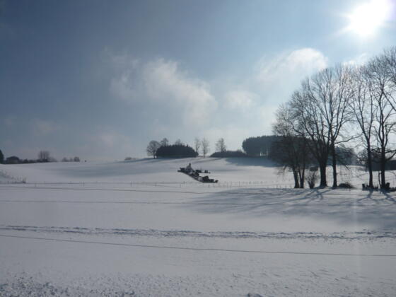 Barmherzigkeitskapelle beim Ortsteil Feuerschwenden
