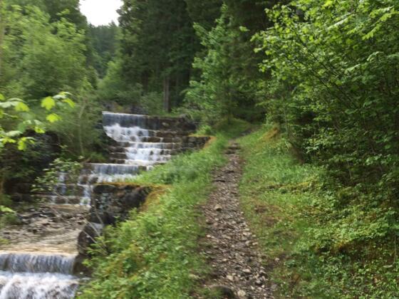 Der Weg verläuft gemütlich entlang des Eybachs