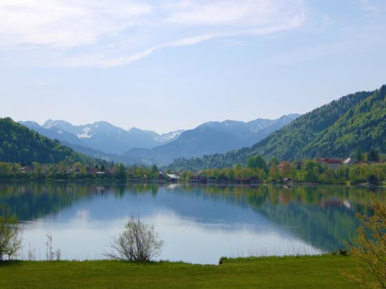 Am Großen Alpsee