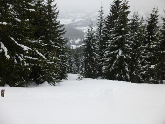 Wegfindung problematisch im unbeschilderten Anfangsteil (C-D)