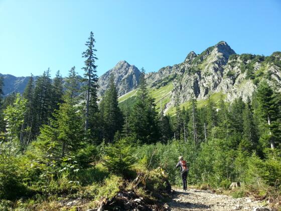 kurz vor dem Häbelesgund, im Hintergrund der Rotspitz