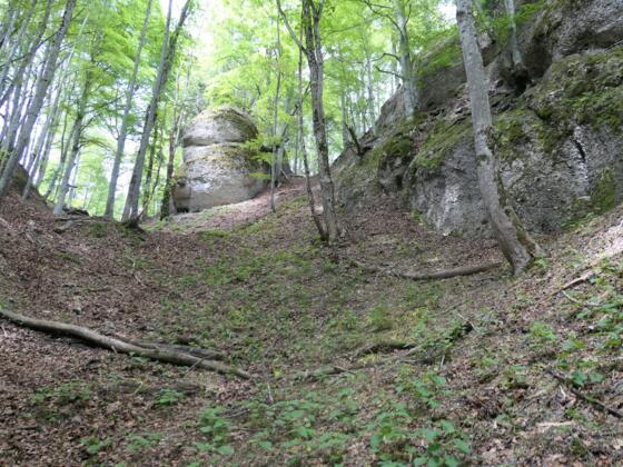 Breiter Graben vorm Schatzloch