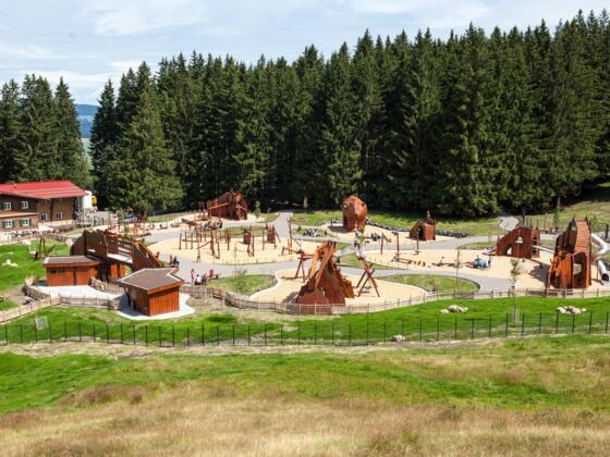 Die Abenteuer-Alpe der Alpsee Bergwelt