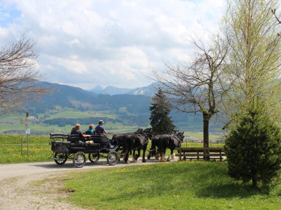 Kutschfahrt durch die Wertacher Landschaft