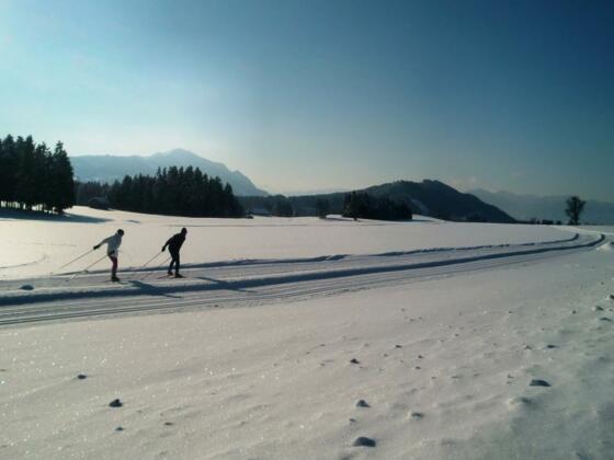 Alpenblickloipe in Moosbach