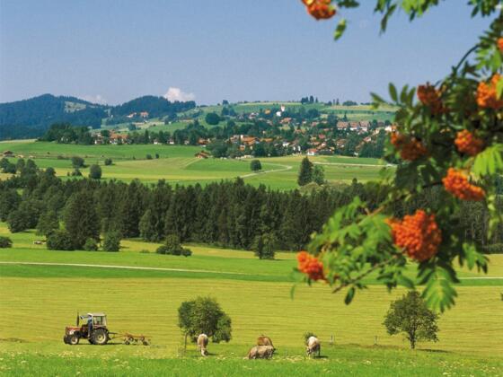 Unser Blick schweift über die wunderschöne Landschaft.