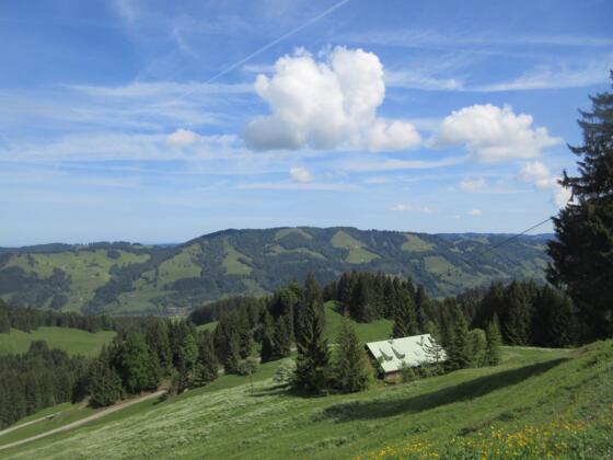 Obere Mittelberg-Alpe