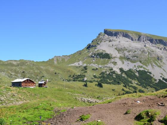 Der Hohe Ifen mit der Alpe Ifersgunt