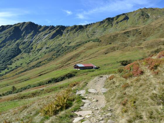 Starzelalp unterhalb der Starzeljochs