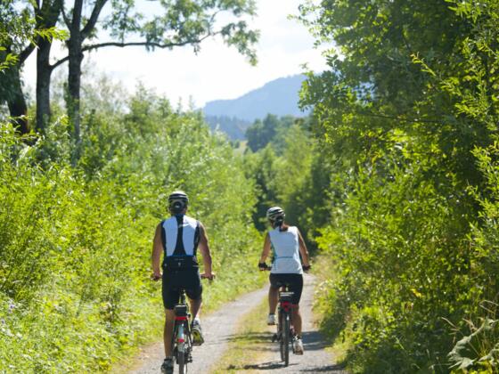 Radrunde auf dem Illerdamm