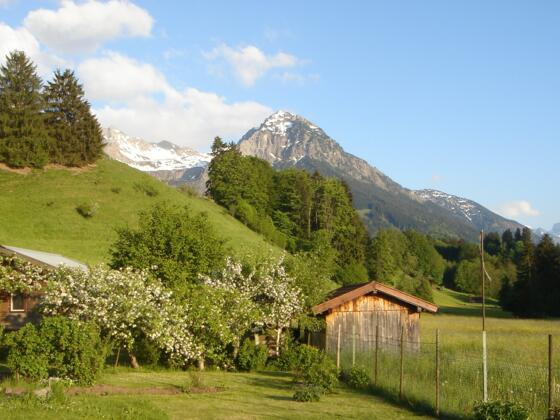 Rückweg über Fischen-Au