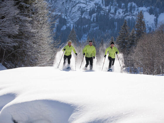 Schneeschuhtour über den Schöllanger Hof