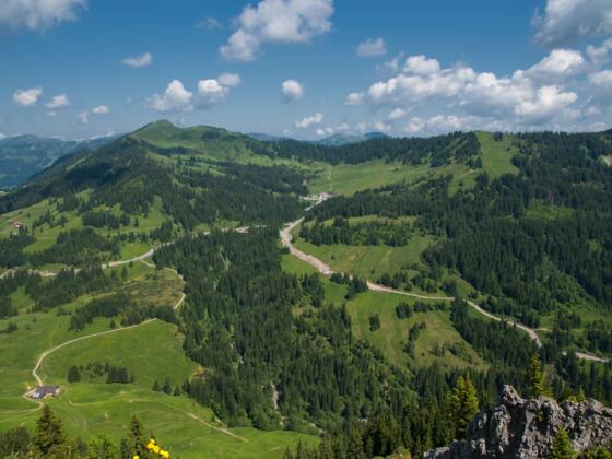 Blick auf das Riedberger Horn vom Besler