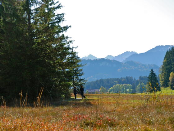 Tiefenberger Moos bei Ofterschwang