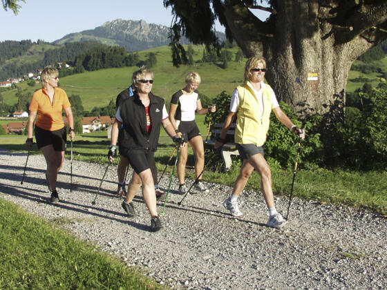 Nordic Walking am Grünen Pfad