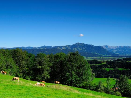 Ausblick vom Stoffelberg