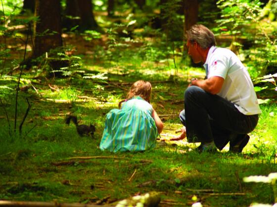 Im Eichhörnchen-Wald