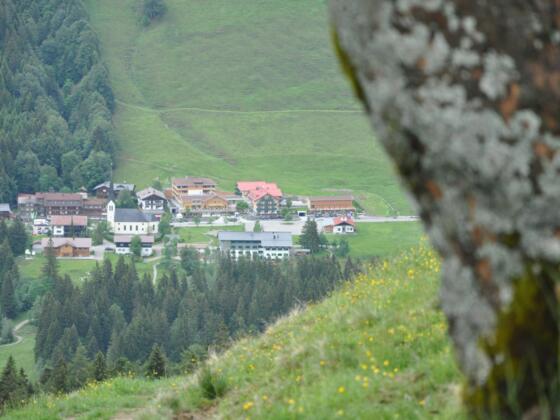 Auf dem Weg zum Gelbhansekopf
