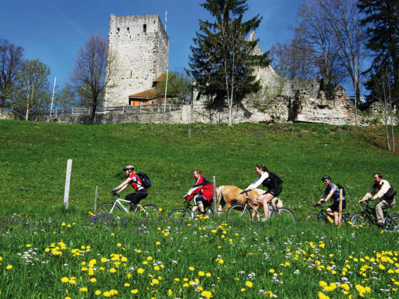 Die Burgruine wacht über den Ort.