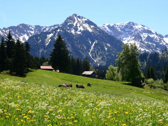 Zum Strausbergsattel