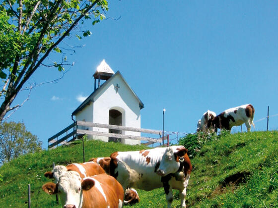 Die &quot;Wächter&quot; der Kapelle.