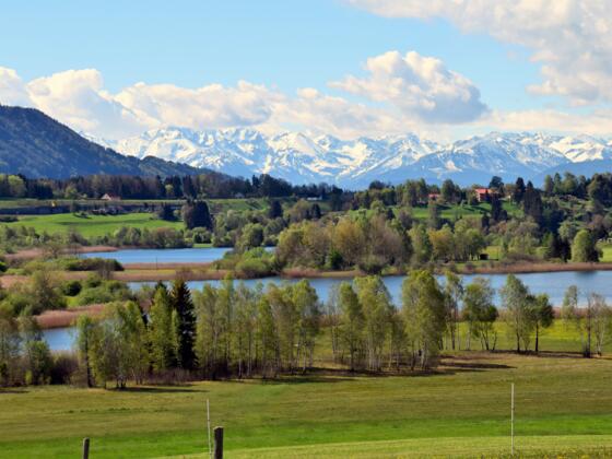 Niedersonthofener See