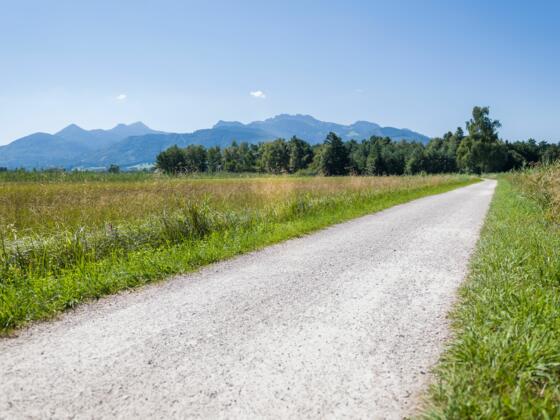 Familientour zum Strandbad Bernau