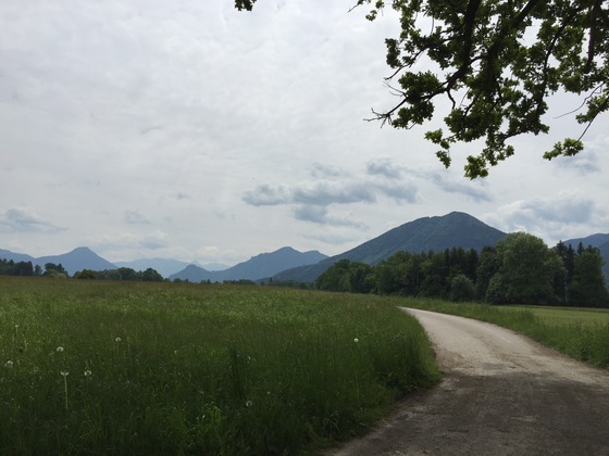 Von den Sterntaler Filzen Richtung Kleinholzhausen