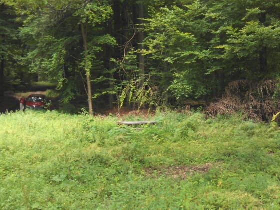 Platz am Eichhall mit Bank