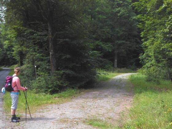 Abzweig auf "Bennoweg" rund um den Geierskopf