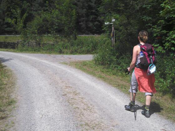 kurz vor der Wegekreuzung Rubischer Brunnen