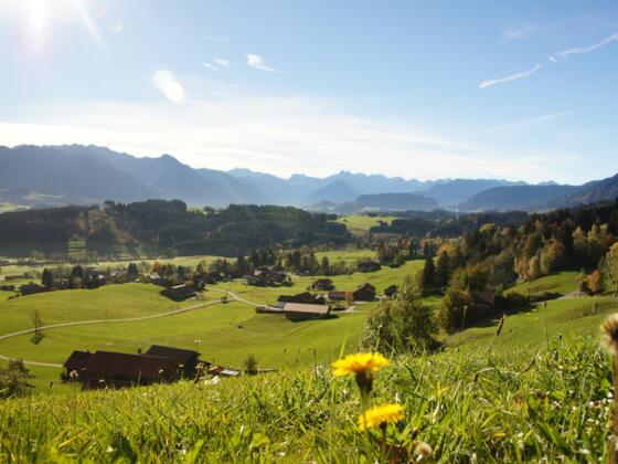 Aussicht vom Hüttenberber Eck auf den Allgäuer Hauptkamm