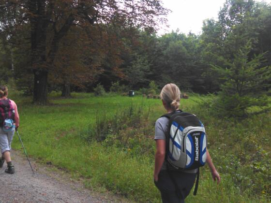 Blick Wiese mit Feuerstelle