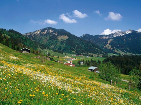 Blick zum Riedbergerhorn