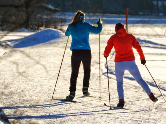 Langlaufen in den Hörnerdörfern