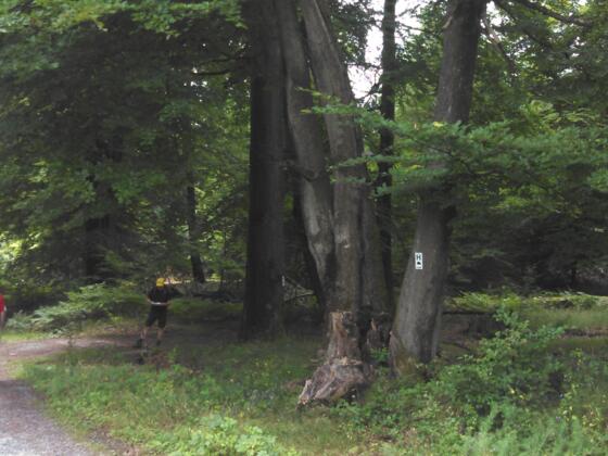 Platz für Bushaltestelle und Abzweig nach rechts weiter auf Wanderstrecke