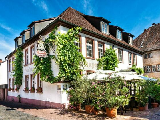 Flair Hotel Hopfengarten