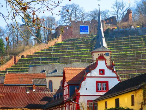 Burgruine Clingenburg
