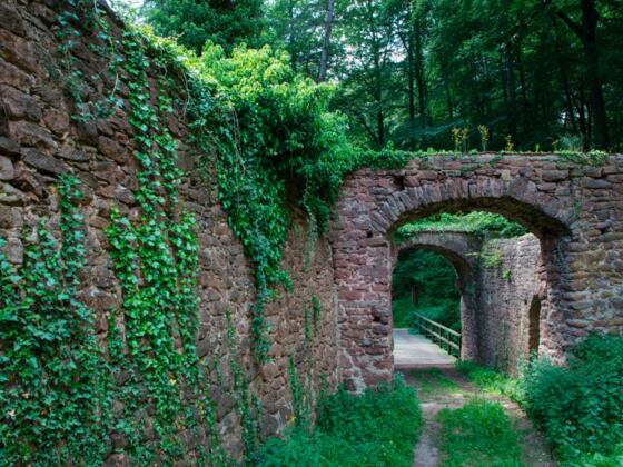 Burgruine Wildenstein