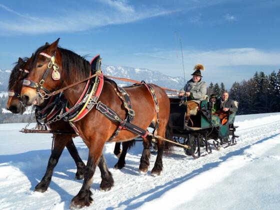Pferdeschlitten in Abtenau