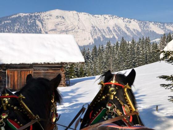 Pferdeschlittenfahrt in Abtenau.