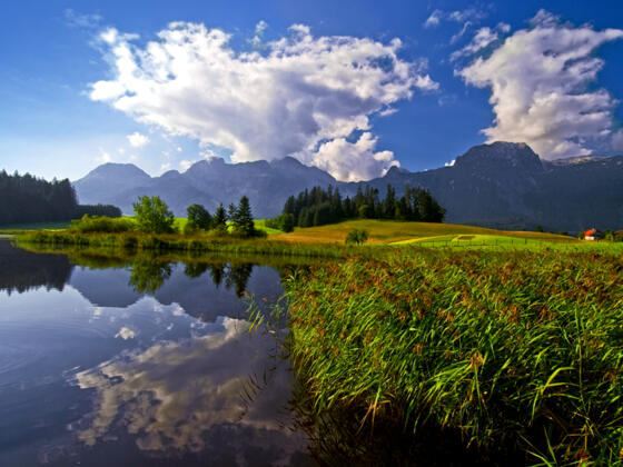 Naturschutzgebiet Egelsee Sommer