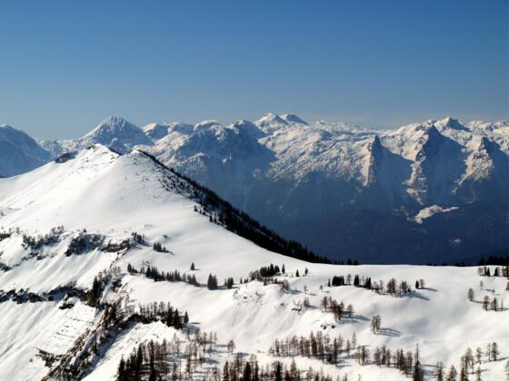 Gr. Radl 1742m, Blick Eglseehörndl