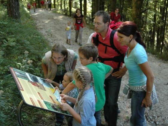 Bärenweg Lidaun - Faistenau
