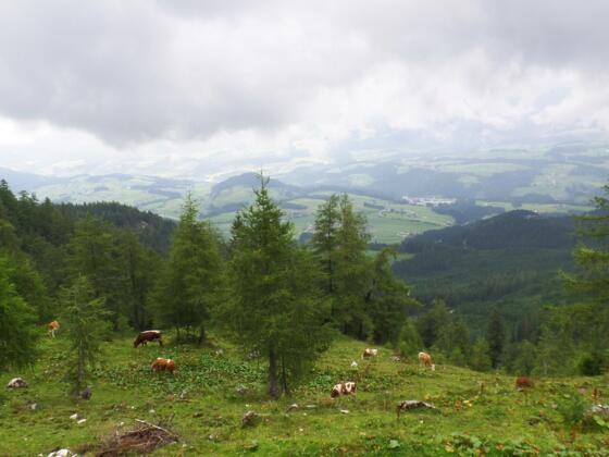 Ausblick auf Abtenau