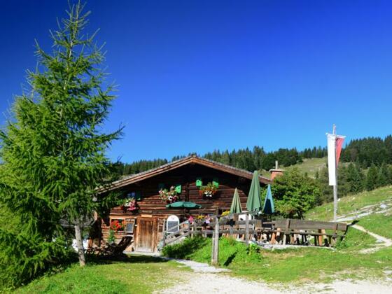 Schnitzhofhütte Postalm.