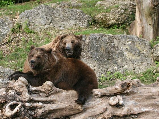 Café Reber in der Fußgängerzone Bad Reichenhall